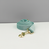 Light blue dog leash with gold clip on a white surface and gray background