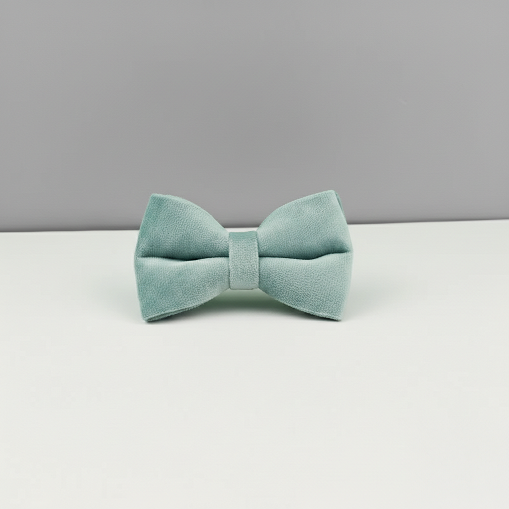 Dog bow on white table