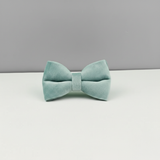 Dog bow on white table