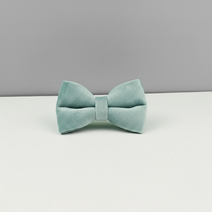 Dog bow on white table