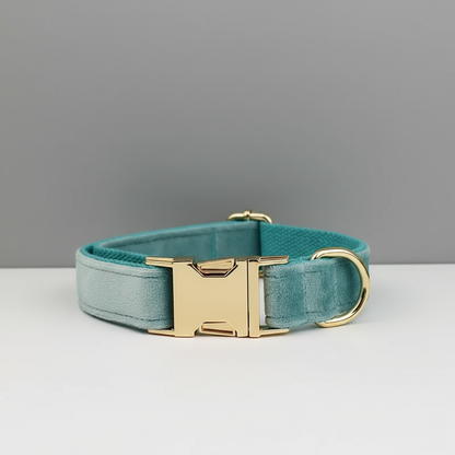 Teal dog collar with gold buckle on a gray background