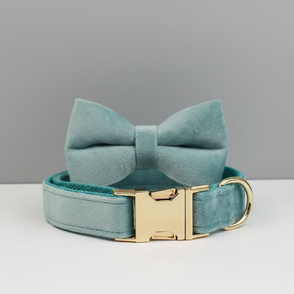Teal dog collar with a bow and gold buckle on a gray background