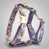 Floral-patterned dog harness with gold hardware on a gray background